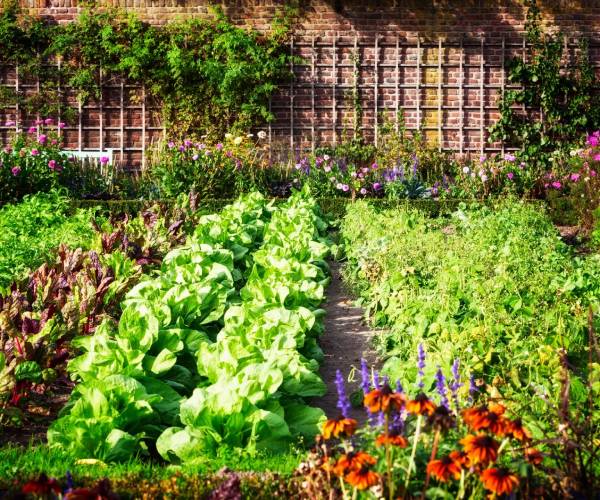 soil-active-section-image